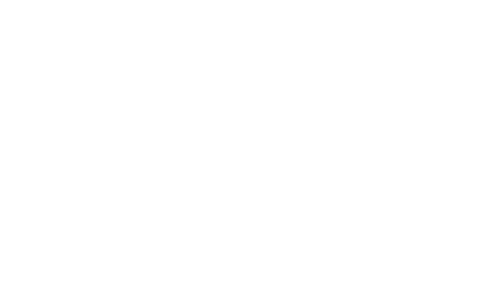 Институт ИПАЛ/IPAL