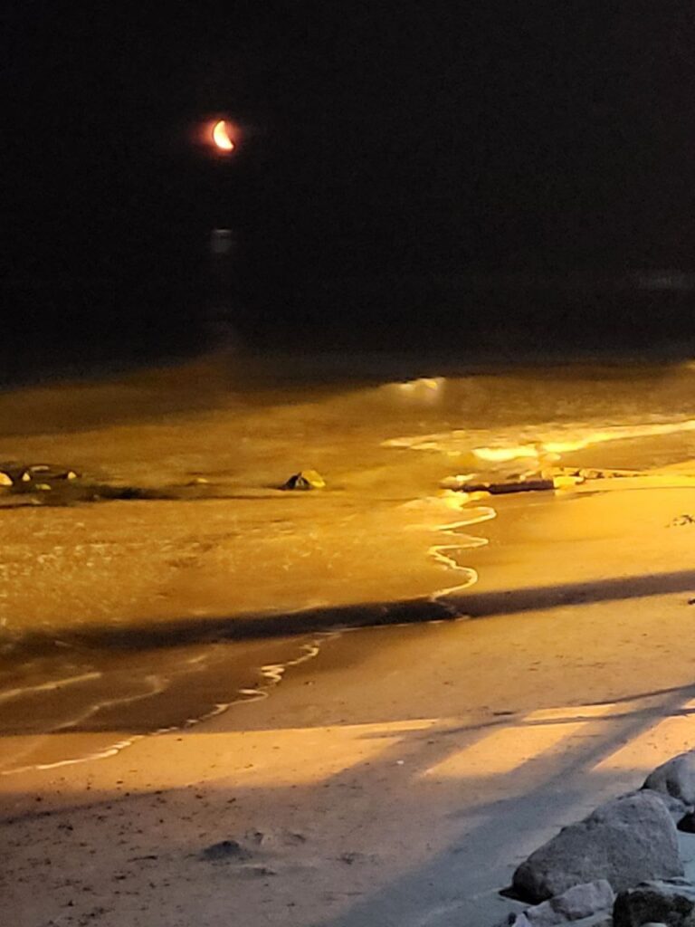 Рождение психики: у истоков…