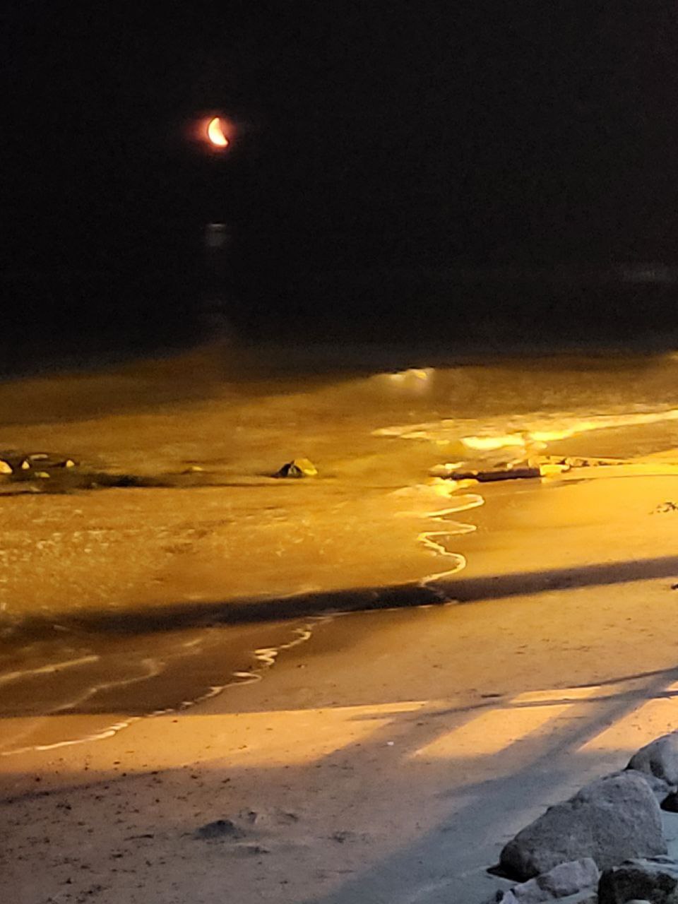 Рождение психики: у истоков…